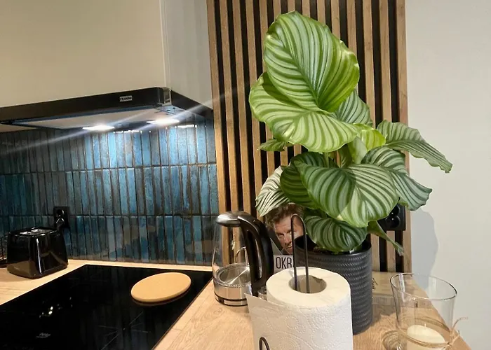 Odra Serenity River View Szczecin